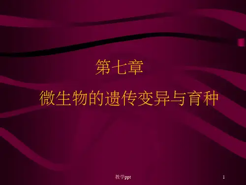 微生物的遗传变异与育种(1)