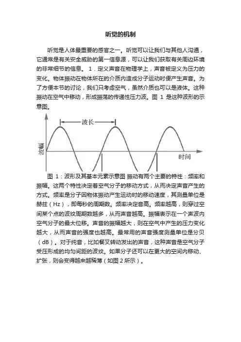 听觉的机制