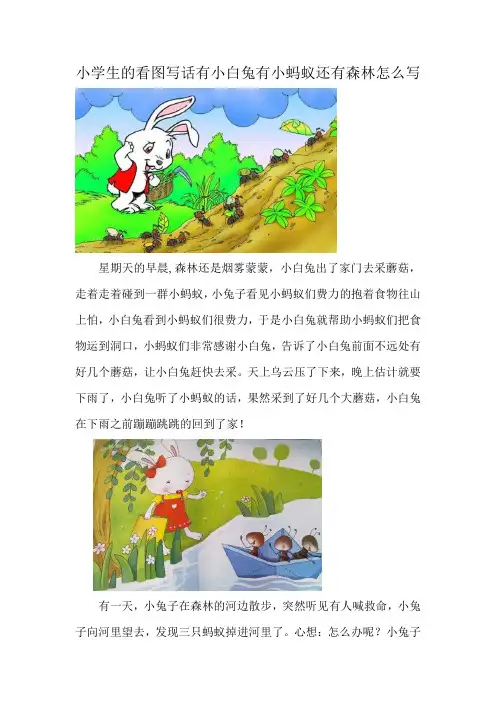 小学生的看图写话有小白兔有小蚂蚁还有森林怎么写