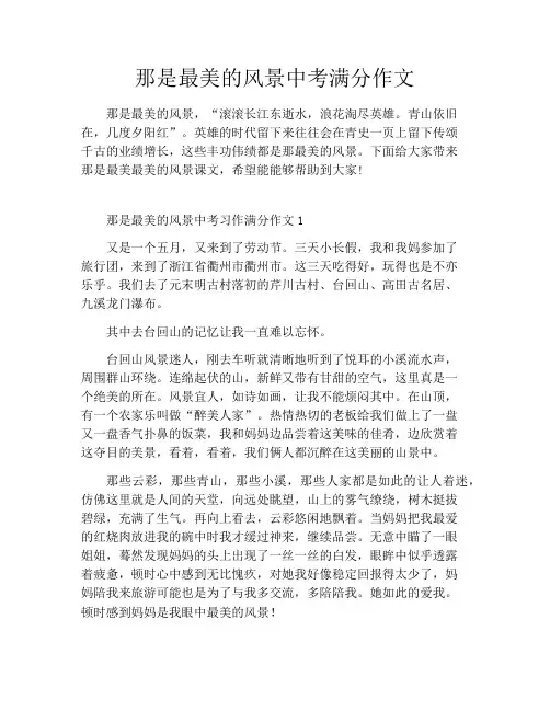那是最美的风景中考满分作文