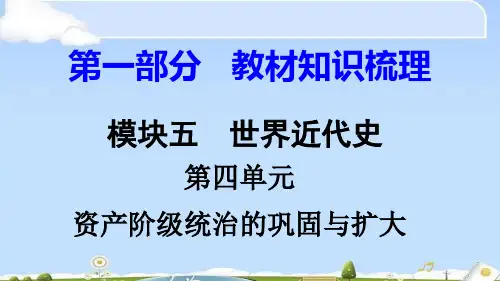 中考历史复习：世界近代史ppt(8份) 岳麓版7