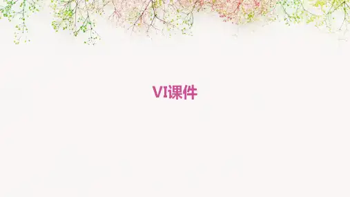 vi课件 ppt