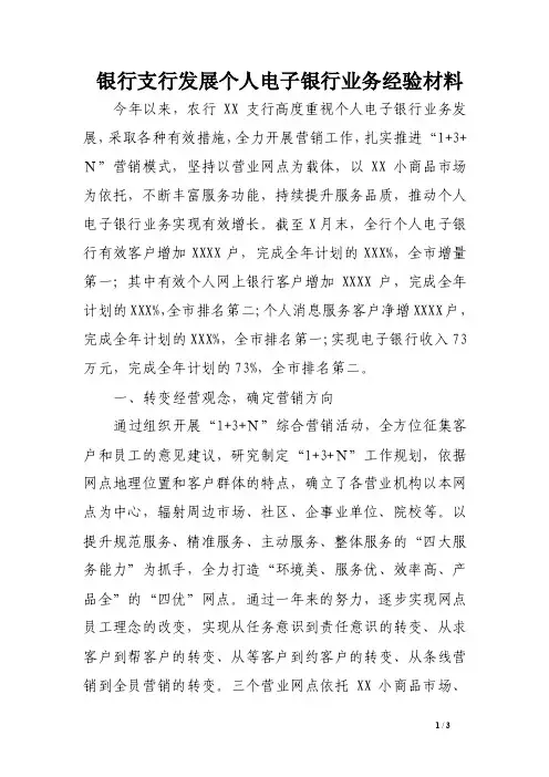 银行支行发展个人电子银行业务经验材料