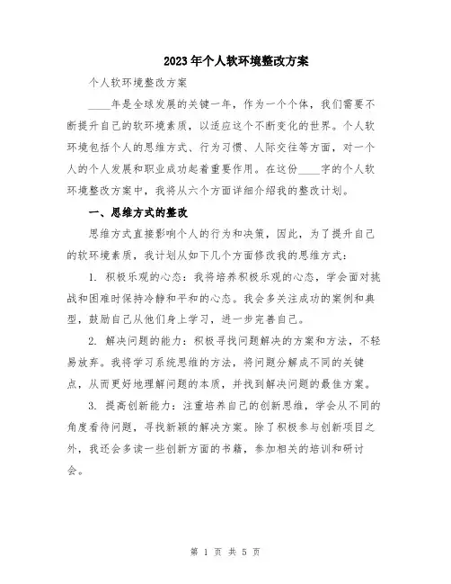 2023年个人软环境整改方案