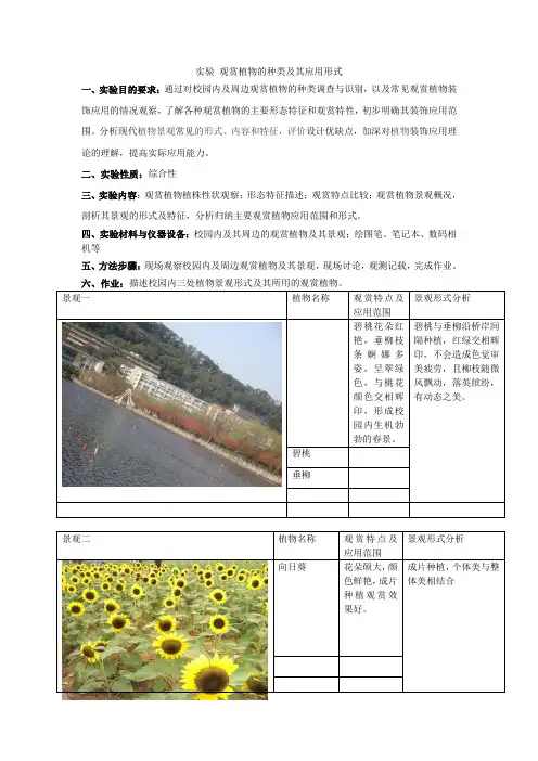 实验报告- 观赏植物的种类及其应用形式
