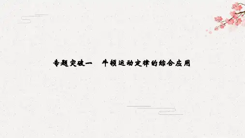    高考冲刺 总复习 物理(教科)--必修1 第三章 专题突破一 牛顿运动定律的综合应用