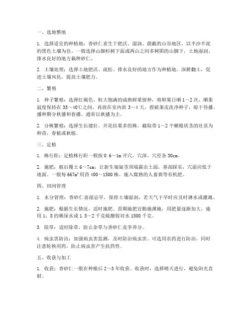 香砂仁种植技术管理
