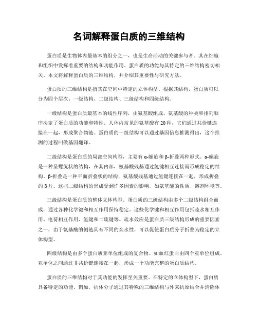 名词解释蛋白质的三维结构
