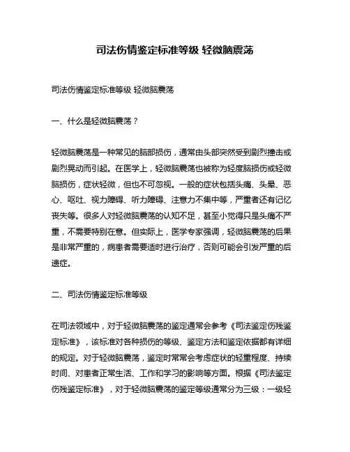 司法伤情鉴定标准等级 轻微脑震荡