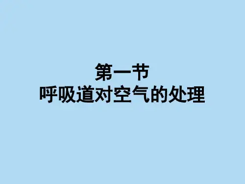 人教版七年级生物下册课件：4.3.1 呼吸道对空气的处理 (共34张PPT)
