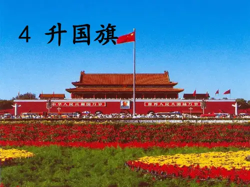 《升国旗》ppt【完美版课件】