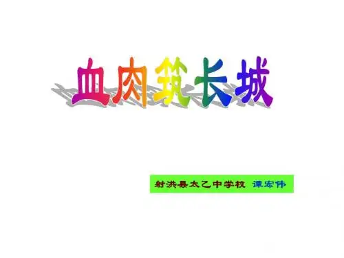 血肉筑长城