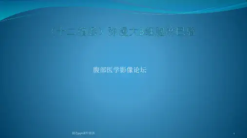 十二指肠弥漫大B细胞淋巴瘤PPT课件