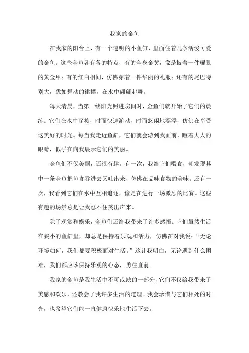 我家的金鱼