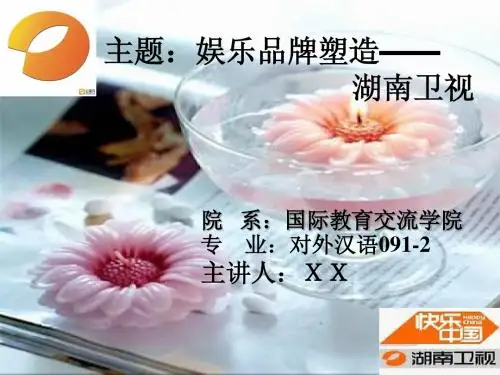 湖南卫视