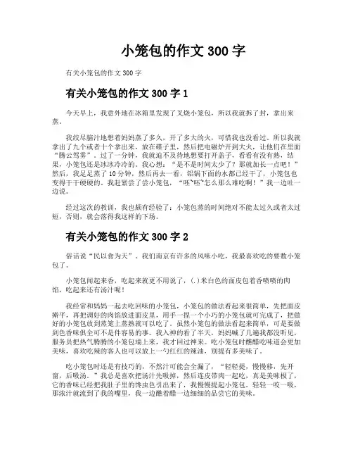 小笼包的作文300字