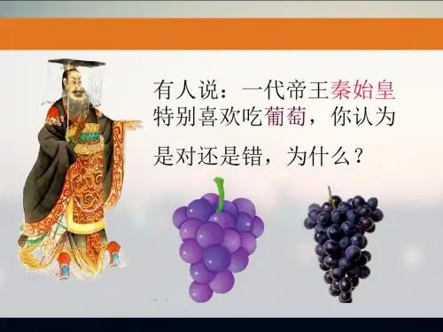新人教版七年级历史上册第14课沟通中外文明的丝绸之路