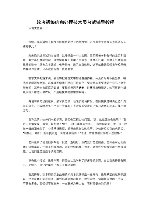 软考初级信息处理技术员考试辅导教程