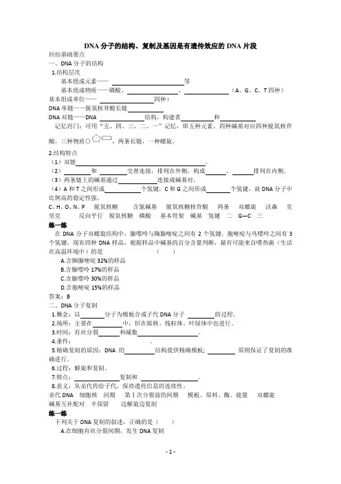 DNA知识点