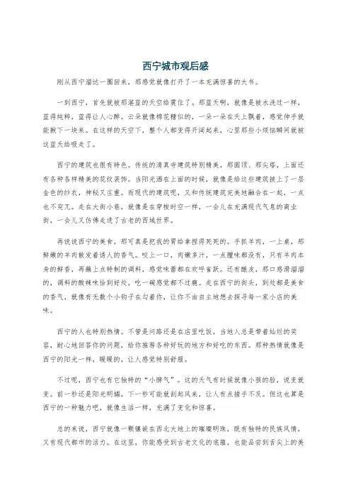 西宁城市观后感