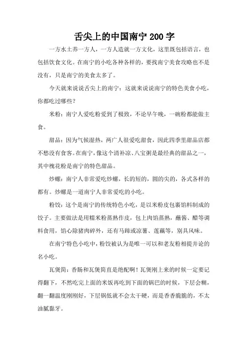 舌尖上的中国南宁200字