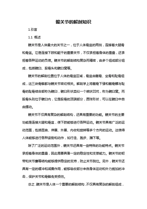 髋关节的解剖知识
