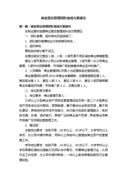 商业营运管理团队组成方案建议