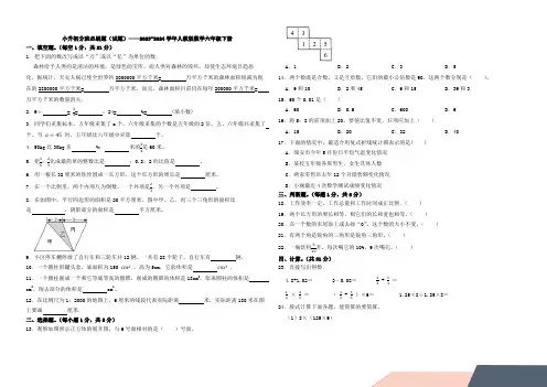 小升初分班必刷题(试题)—2023-2024学年六年级下册数学人教版