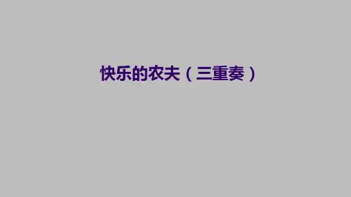 湖南文艺出版社高中音乐选修：演奏快乐的农夫(三重奏)