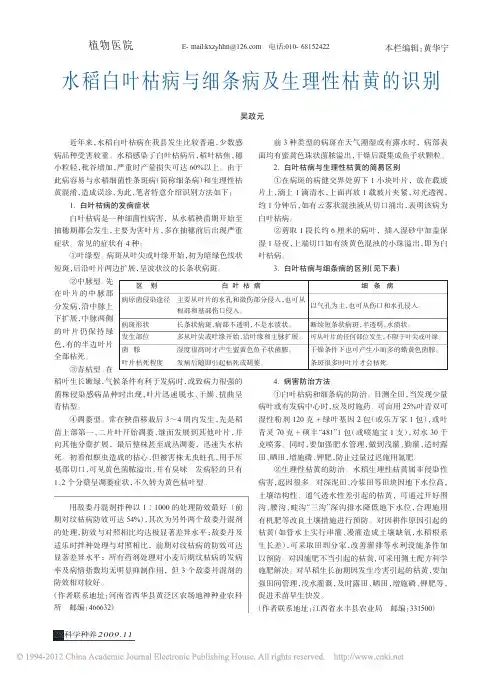水稻白叶枯病与细条病及生理性枯黄的识别
