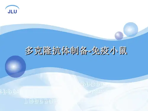 免疫学实验：多克隆抗体制备-免疫小鼠