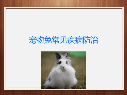 宠物兔的饲养—兔常见病的防治