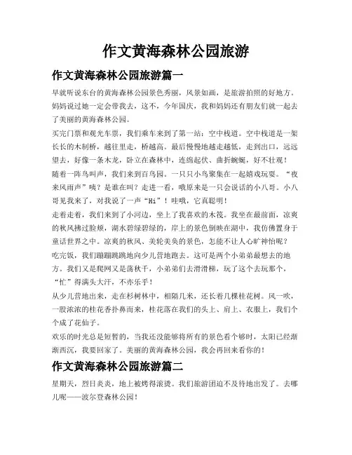 作文黄海森林公园旅游