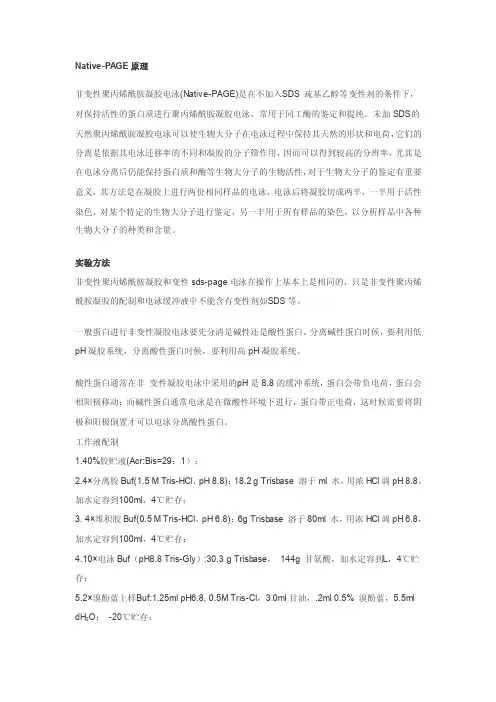 蛋白非变性胶详解