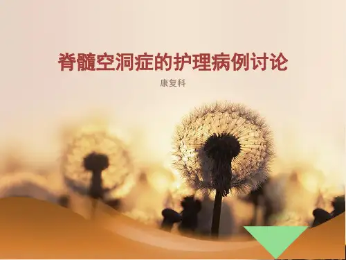 脊髓空洞症病