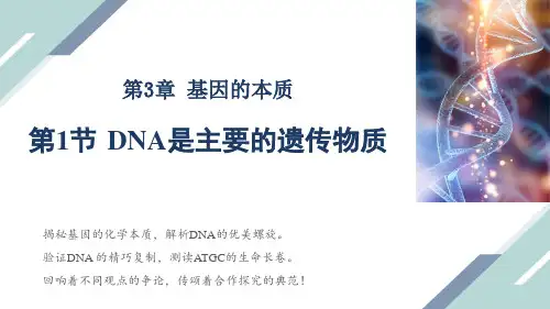 DNA是主要的遗传物质课件 高一下学期生物人教版必修2