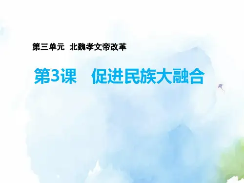 高中历史选修1精品课件3：第3课 促进民族大融合