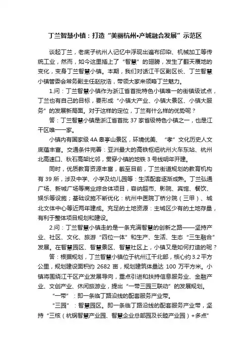 丁兰智慧小镇：打造“美丽杭州·产城融合发展”示范区