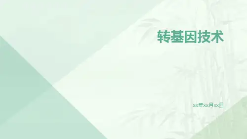 转基因技术ppt