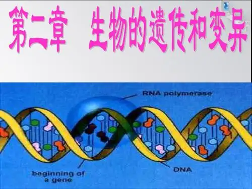 八年级生物下册_生物的遗传课件_苏科版
