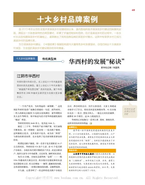 十大乡村品牌案例