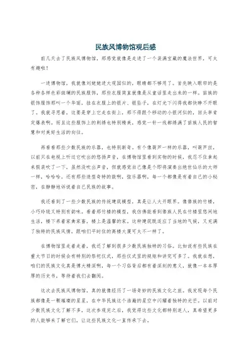 民族风博物馆观后感