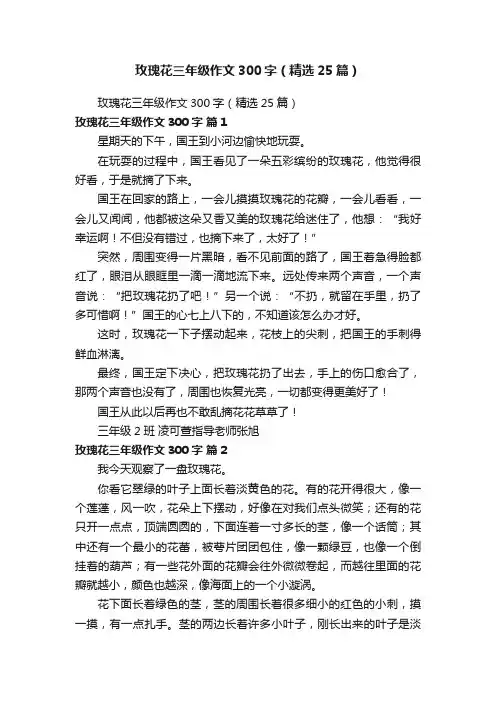 玫瑰花三年级作文300字（精选25篇）