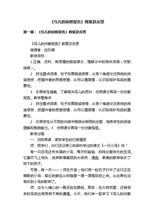 《鸟儿的侦察报告》教案及反思