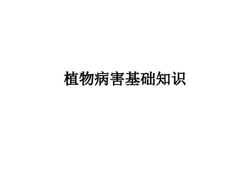 植物病害基础知识