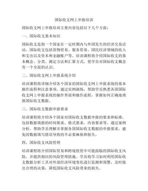 国际收支网上申报培训