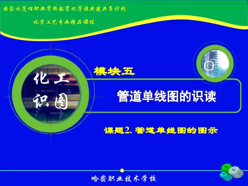 管道布置单线图的视图