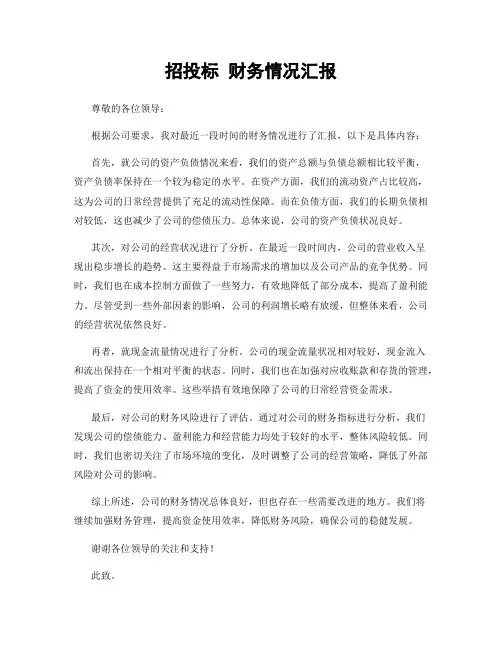 招投标 财务情况汇报