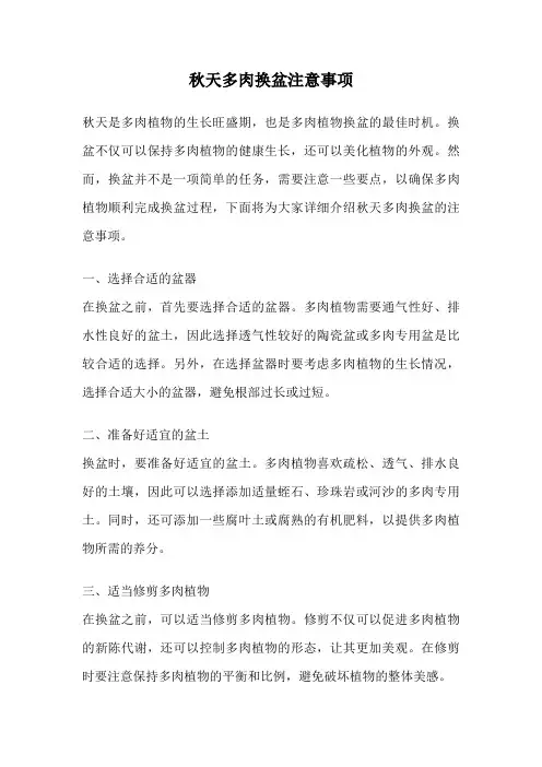 秋天多肉换盆注意事项