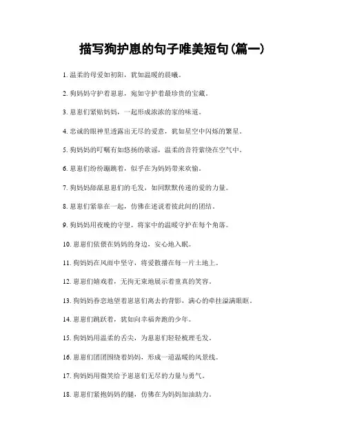 描写狗护崽的句子唯美短句(精选合集2篇)